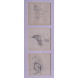ARCHIBALD THORBURN (1860-1935), Framed Pencil Sketch, depicting birds. Each 10 cm x 10 cm.