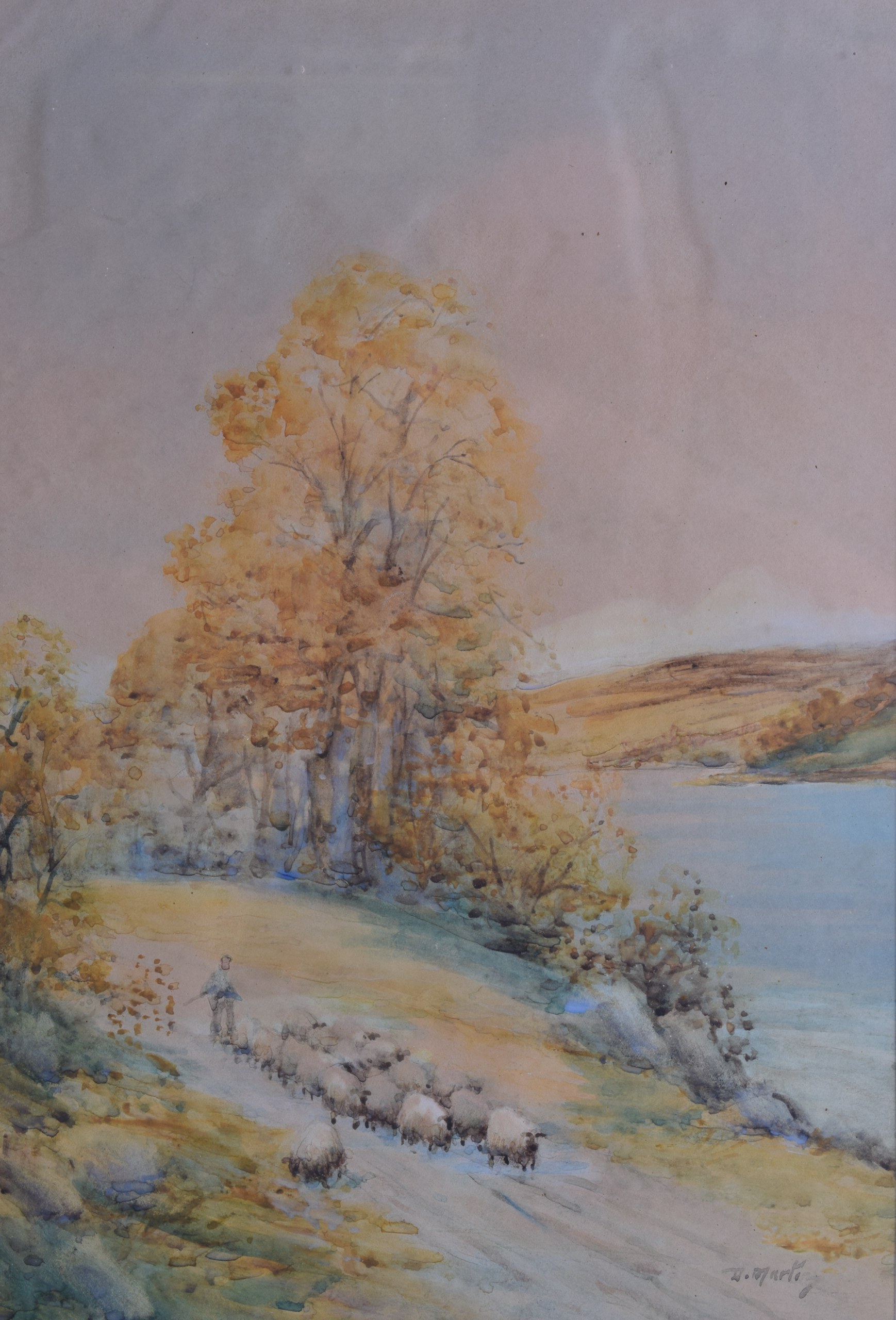 MARTI (20th Century), Framed Watercolour, signed, sheep in a landscape.39 cm x 27 cm.