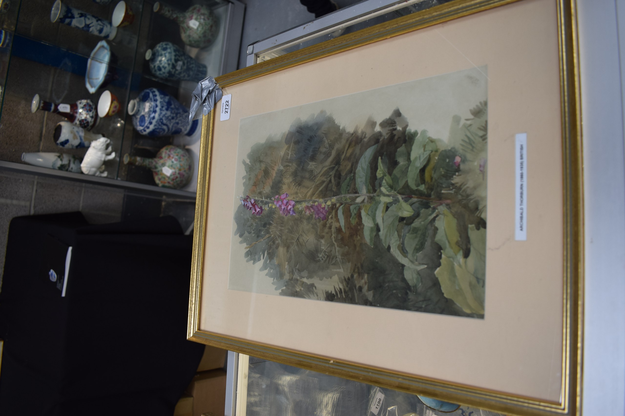 ARCHIBALD THORBURN (1860-1935), Framed Watercolour, depicting a purple plant . 34 cm x 24 cm. - Bild 2 aus 4