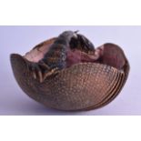 AN UNUSUAL LATE VICTORIAN ARMADILLO BASKET of naturalistic form. 19 cm wide.
