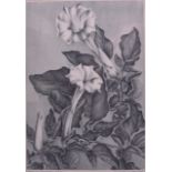 ELIZABETH SALTONSTALL (British), Framed Pair Lithographs, "Althea Blossoms", together with another