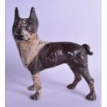 A CONTEMPORARY COLD PAINTED CAST IRON DOOR STOP in the form of a standing hound. 23 cm x 26 cm.