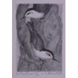 ELIZABETH SALTONSTALL (British), Framed Set of Five Lithographs, depicting birds.(5)