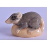 A JAPANESE TAISHO PERIOD CARVED TAGUA NUT OKIMONO modelled as a rat upon a nut. 4 cm wide.