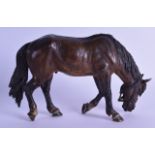 A GOOD 19TH CENTURY VIENNA COLD PAINTED BRONZE FIGURE OF A HORSE in the manner of Franz Xavier