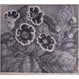 ELIZABETH SALTONSTALL (British), Framed Artists Proof,study of flowers. 25 cm x 28 cm.