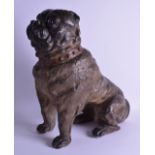 A GOOD 19TH CENTURY AUSTRIAN TERRACOTTA PUG DOG modelled with a jewelled collar. Stamped L L. 50
