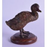 A 19TH CENTURY VIENNA COLD PAINTED BRONZE FIGURE OF A DUCK naturalistically modelled upon an