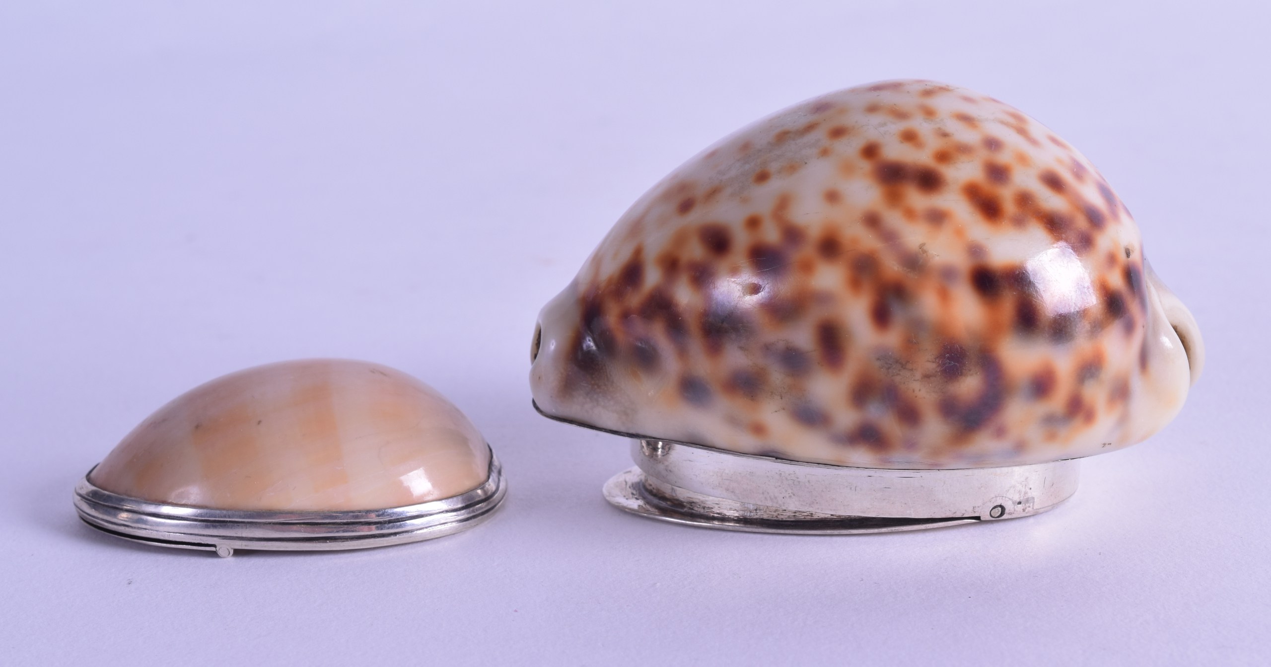 TWO VICTORIAN SILVER MOUNTED SHELL SNUFF BOXES. 7.5 cm & 5 cm wide. (2)