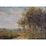 BRITISH SCHOOL (19th Century), Framed Oil on Canvas, indistinctly signed, Trees in a landscape. 24