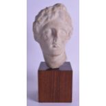 A 19TH CENTURY EUROPEAN GRAND TOUR BUST OF A FEMALE After the Antiquity, modelled as a female.