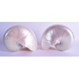 A PAIR OF NAUTILUS SHELLS of naturalistic form. 20 cm x 17 cm.