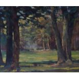 BRITISH SCHOOL (20th Century), Framed Oil on Board, unsigned, trees in a landscape. 53 cm x 62 cm.