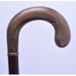 A 19TH CENTURY EUROPEAN CARVED RHINOCEROS HORN HANDLED WALKING CANE with scrolling terminal. 86 cm