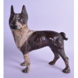 A CONTEMPORARY COLD PAINTED CAST IRON DOOR STOP in the form of a standing hound. 23 cm x 26 cm. Wear