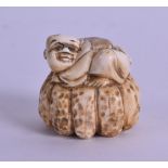 A LATE 19TH CENTURY JAPANESE MEIJI PERIOD CARVED IVORY NETSUKE modelled as a boy upon a fruiting