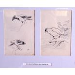 ARCHIBALD THORBURN (1860-1935), framed double sketch,study of grouse. Largest 15 cm x 10 cm.