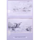 ARCHIBALD THORBURN (1860-1935), framed double sketch,study of grouse. Largest 10 cm x 16 cm.