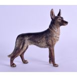 A LATE 19TH CENTURY AUSTRIAN COLD PAINTED BRONZE FIGURE OF A DOG modelled upon all fours. 9.5 cm