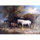 AFTER GEORGE MORLAND (1763-1804), unfarmed oil on canvas, unsigned, a pony with young in a