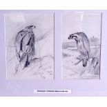 ARCHIBALD THORBURN (1860-1935), framed double sketch,study of eagles. Largest 16 cm x 12 cm.