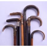 A GROUP OF SIX LATE VICTORIAN/EDWARDIAN HORN HANDLED CANES. Largest 88 cm long. (6)