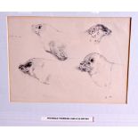 ARCHIBALD THORBURN (1860-1935), framed sketch, study of a seal. 15 cm x 21 cm.