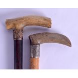 TWO LATE VICTORIAN CARVED HORN HANDLED WALKING CANES possibly Rhinoceros. 78 cm & 74 cm long. (2)