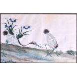 A LARGE PAIR OF 19TH CENTURY CHINESE FRAMED PITH PAPER WORKS depicting birds and landscapes. Image