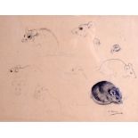 ARCHIBALD THORBURN (1860-1935), framed sketch,study of mice. 25 cm x 31.5 cm.