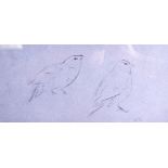 ARCHIBALD THORBURN (1860-1935), framed sketch,study of a bird. 11.5 cm x 25 cm.