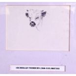 ARCHIBALD THORBURN (1860-1935), framed sketch, study of a bull. 7.5 cm x 11 cm.