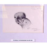 ARCHIBALD THORBURN (1860-1935), framed sketch, study of a seal. 10 cm x 16 cm.