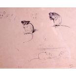 ARCHIBALD THORBURN (1860-1935), framed sketch,study of mice. 24 cm x 30 cm.