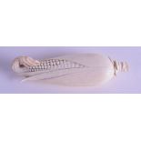 A GOOD 19TH CENTURY JAPANESE MEIJI PERIOD CARVED IVORY CORN ON THE COB of naturalistic form. 14 cm