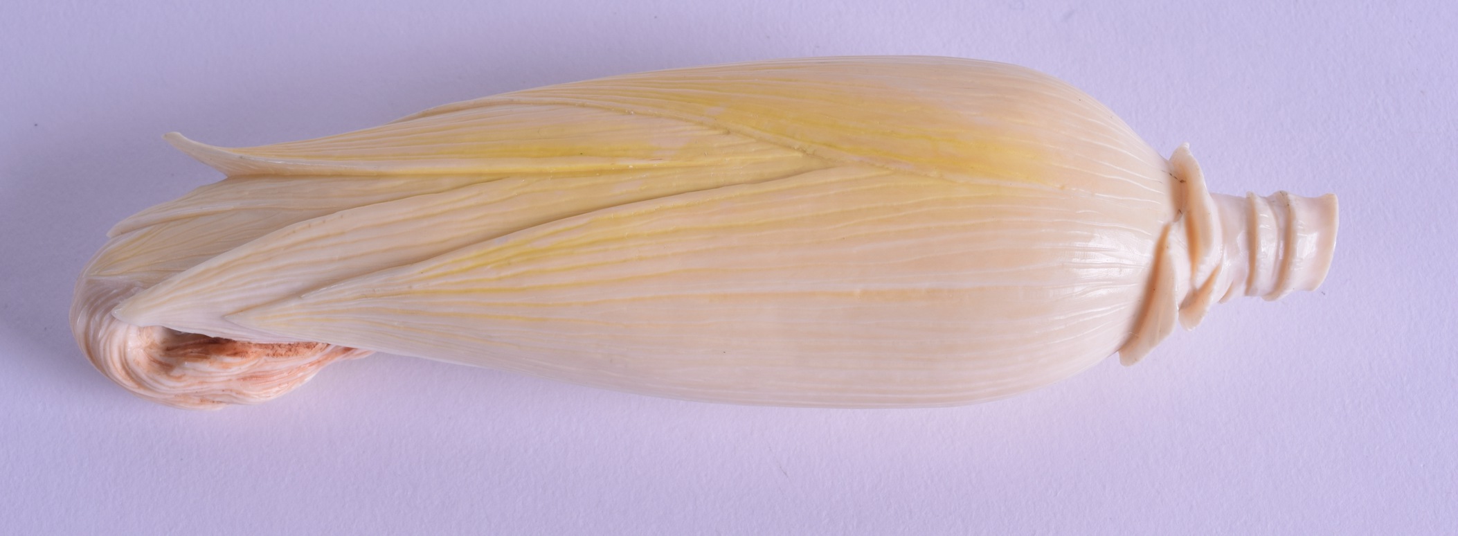 A GOOD 19TH CENTURY JAPANESE MEIJI PERIOD CARVED IVORY CORN ON THE COB of naturalistic form. 14 cm - Image 2 of 3