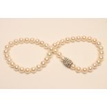 A SINGLE STRING OF CULTURED PEARLS, the forty five pearls strung to a barrel shaped 18ct white