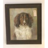 MAUD D HEAPS (1874-1964), Portrait of a Spaniel, signed pastel, 15" x 12 1/2", together with