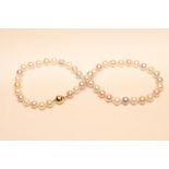 A SINGLE STRING OF PASTEL COLOURED CULTURED PEARLS, the forty six pink, cream and grey pearls strung