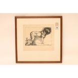 ELSIE MARION HENDERSON (1880-1967), Study of Lions, charcoal drawing signed in pencil, image size