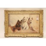 MARGUERITE FROBISHER (1890-1974), Three Cairn Terriers, watercolour and pencil, signed, 13 1/2" x 21