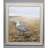 TOM WOOD (Contemporary), A Hornsea Elegy, Seagull and Starling", oil on canvas, unsigned,