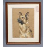 P. KENNETH C. JACKSON (1920-2006), Portrait of an Alsatian Dog", pastel, signed, 15" x 11",