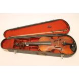 A VIOLIN, with one piece back, carved lion head scroll, rosewood pegs, ebony finger board and