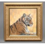 DAVID STRIBBLING (b.1959), Portrait of a Tiger, oil on canvas, signed, 16 1/2" x 16 1/2", gilt frame