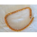 Butterscotch amber beads 44cms long 25gms approximately.