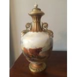 Royal Worceter cabinet vase and cover 35.5 cms high circa 1899 Superbly decorated with highland