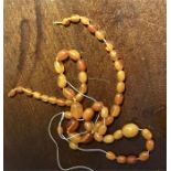 Butterscotch amber beads 22 gms total