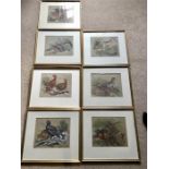Seven watercolours of game birds by Jarvis