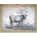 - VERBOECKHOVEN, Eugène (1798-1881).- Étude d'un jeune taureau près d'un arbre. DESSIN ORIGINAL,